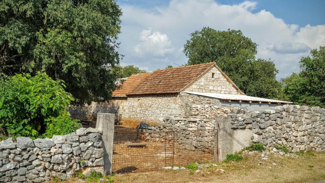 Photo of Others in Gradina