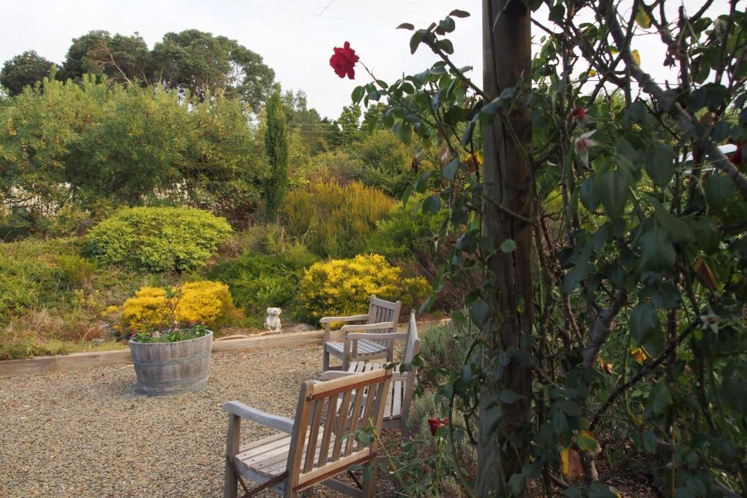 Photo of Others in McLaren Flat