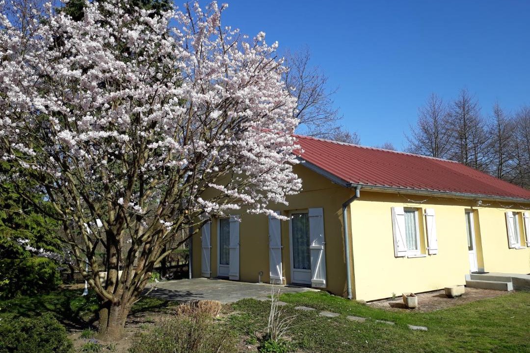 Photo of Buildings in Illhaeusern