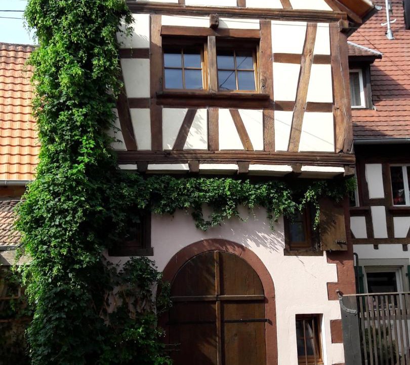 Photo of Others in Bouxwiller