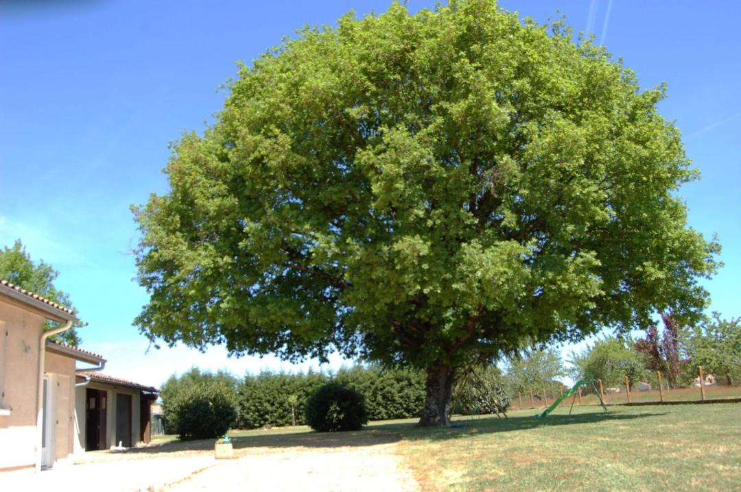 Photo of Others in Abzac