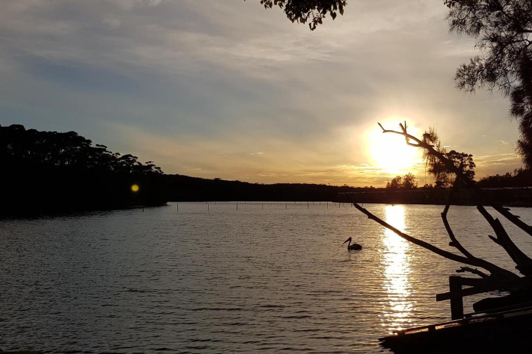 Photo of Others in Lake Conjola