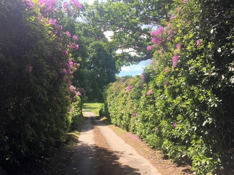 Photo of Outdoor in Edenbridge