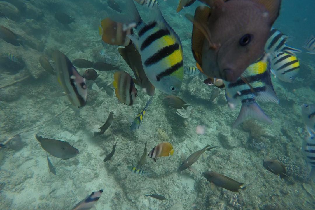 Photo of Others in Gili Trawangan