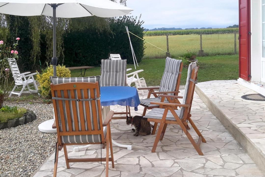 Photo of Others in Amou