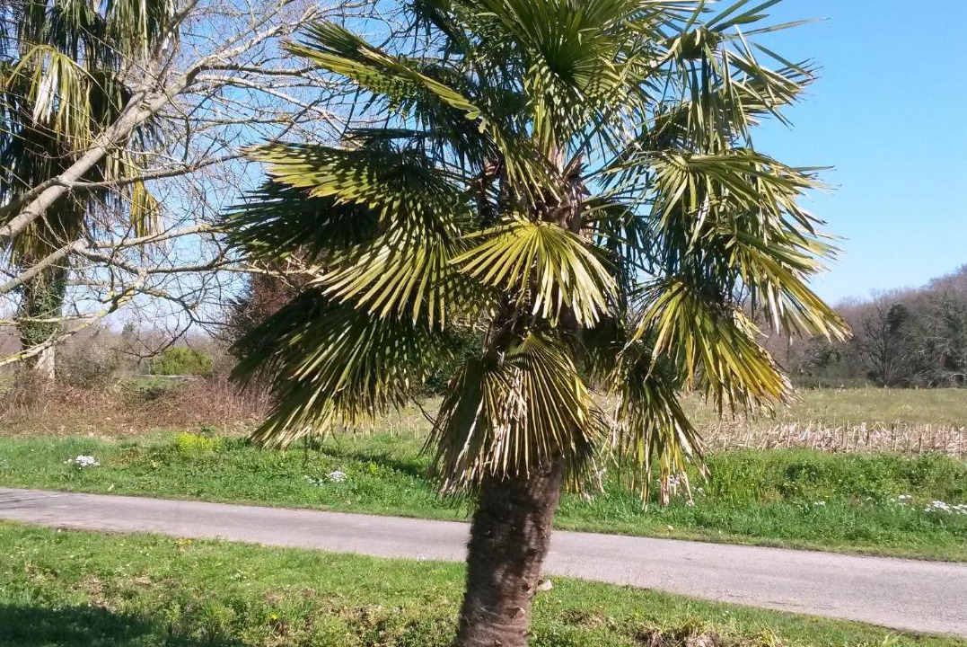 Photo of Others in Amou