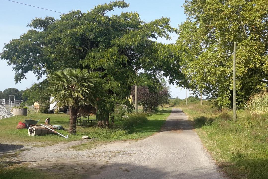 Photo of Others in Amou