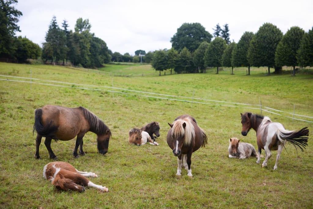 Photo of Others in Brecey