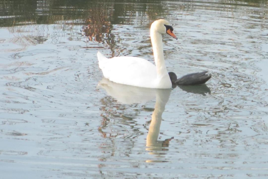 Photo of Others in Brecey