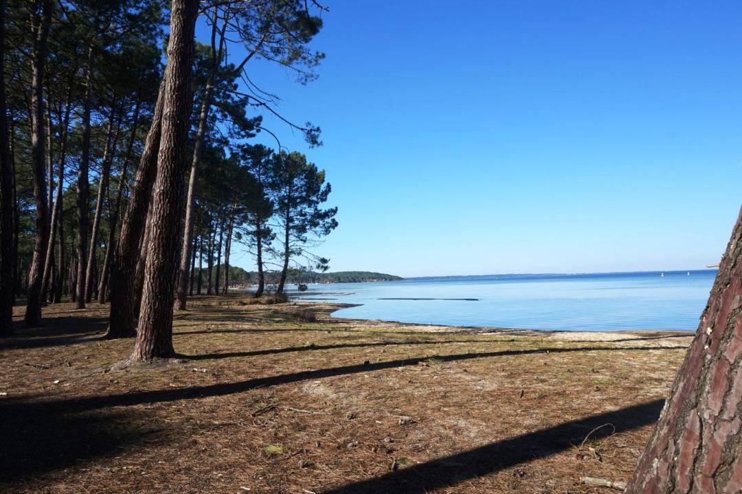 Photo of Others in Biscarrosse Plage