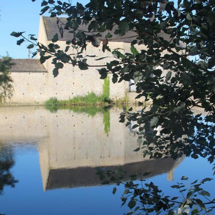 Photo of Others in Trevieres