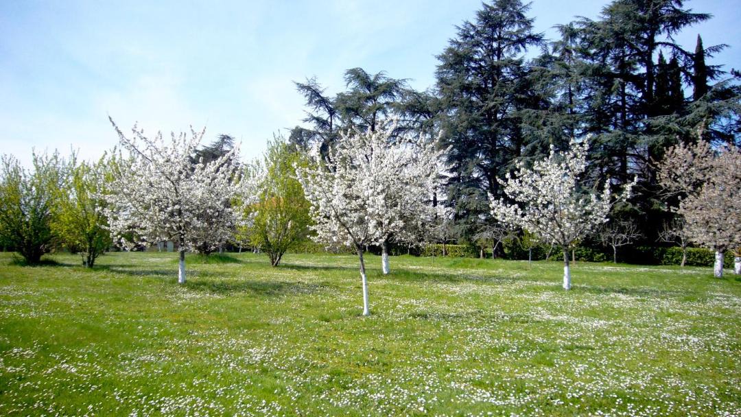 Photo of Others in Marambat