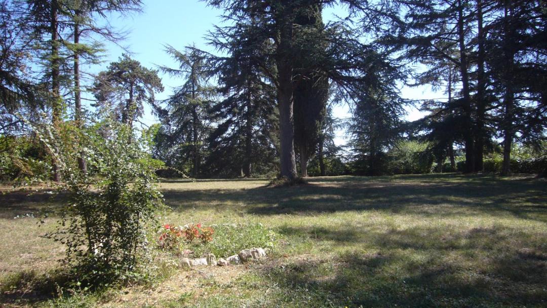 Photo of Others in Marambat