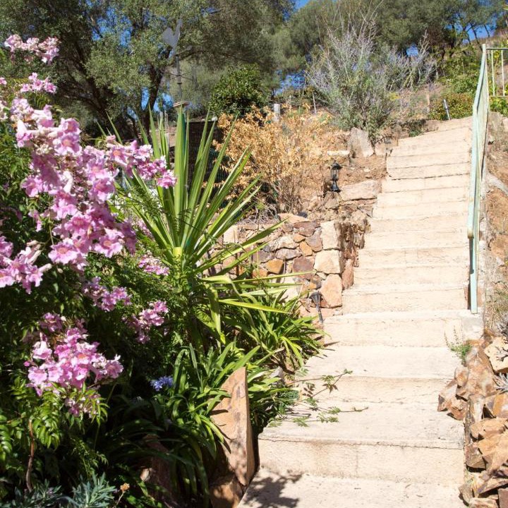 Photo of Others in Serriera