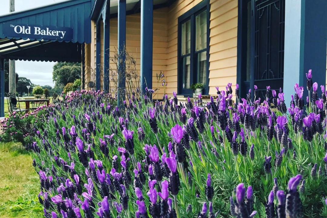 Photo of Buildings in Dunkeld