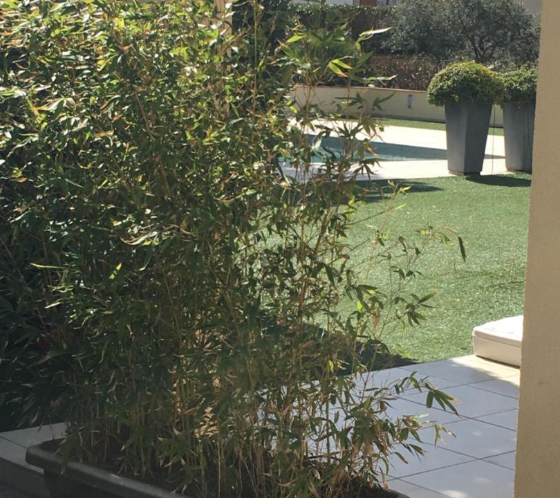 Photo of Others in Sainte-Maxime City Centre