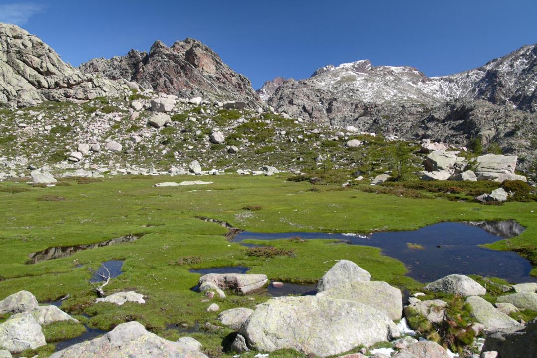 Photo of Others in Evisa