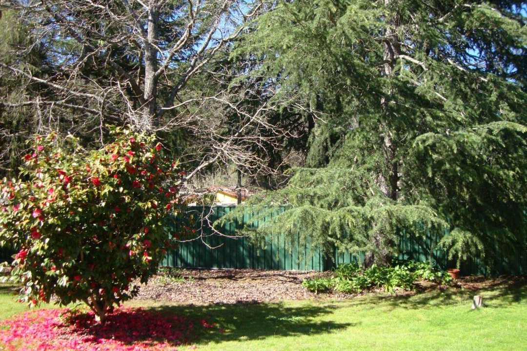 Photo of Outdoor in Bright