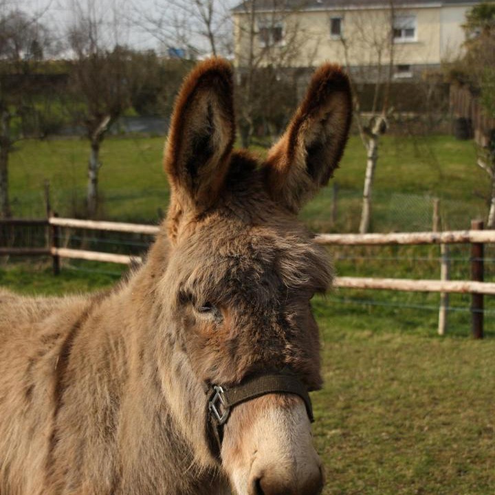 Photo of Others in Gorron