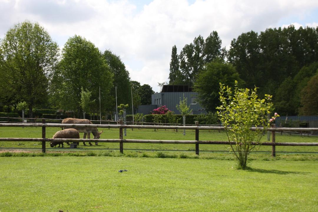 Photo of Others in Gorron