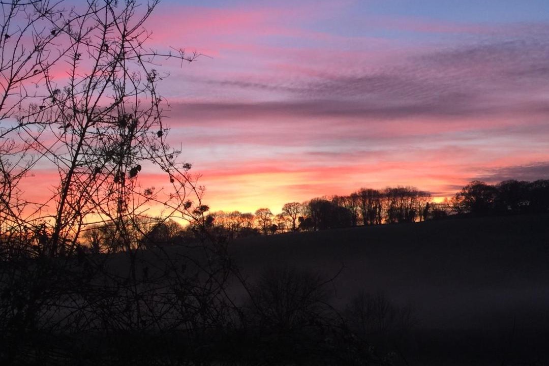 Photo of Others in Yellowham Wood