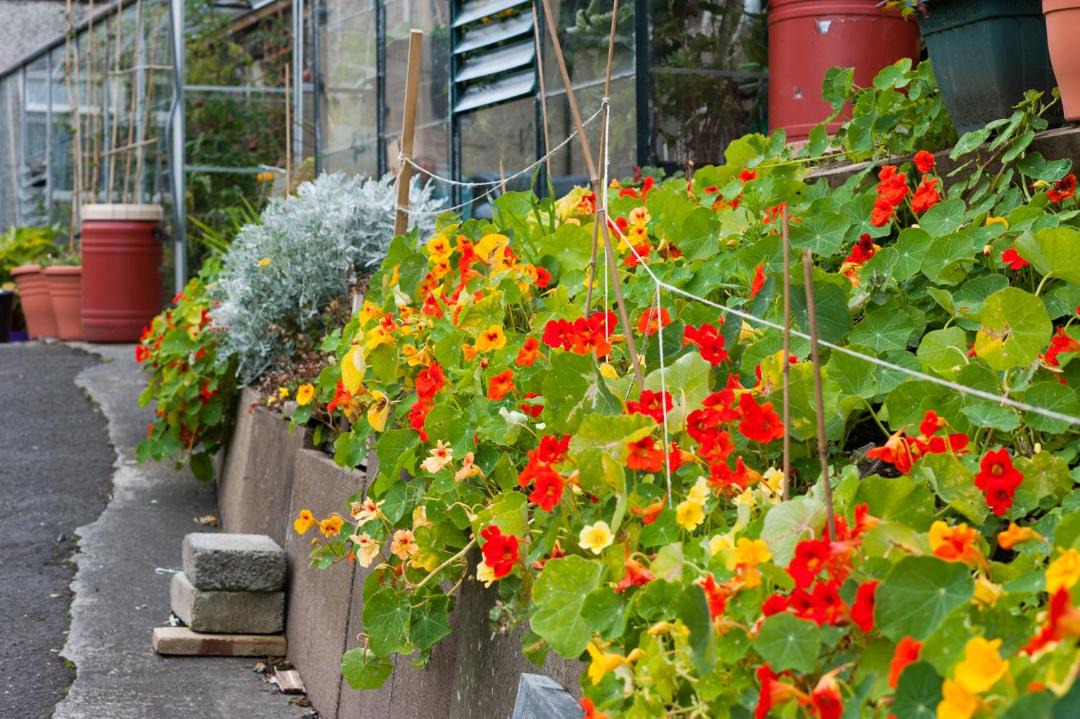 Photo of Others in Kilmaurs