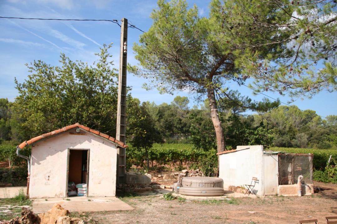 Photo of Buildings in Pignans