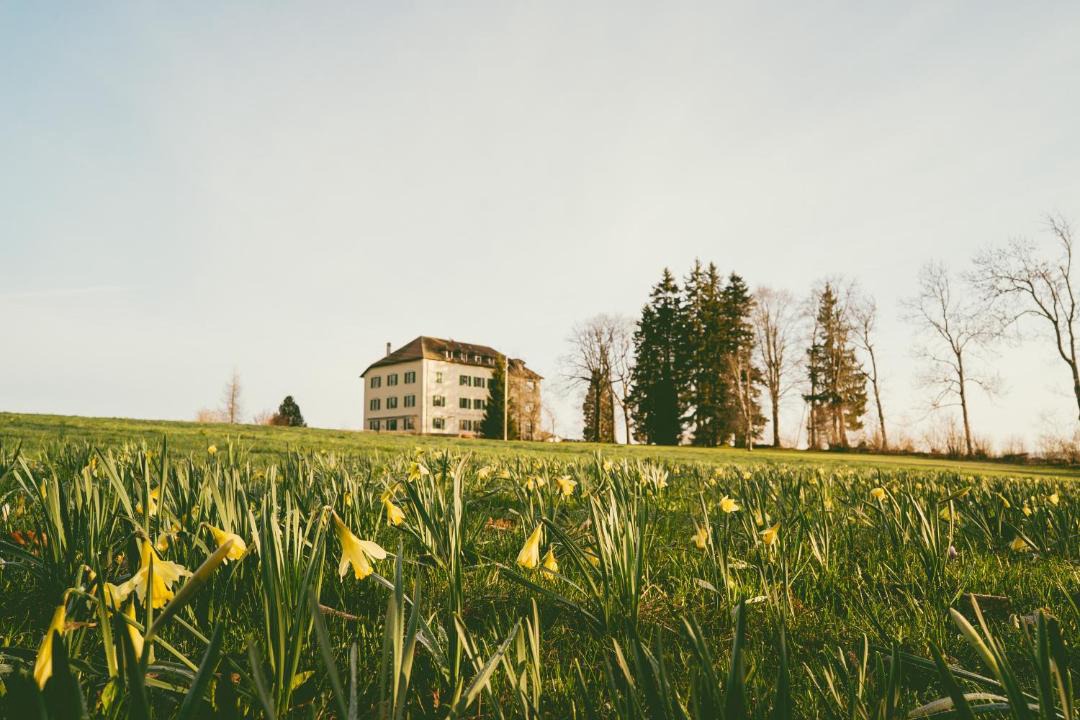 Photo of Others in La Ferriere
