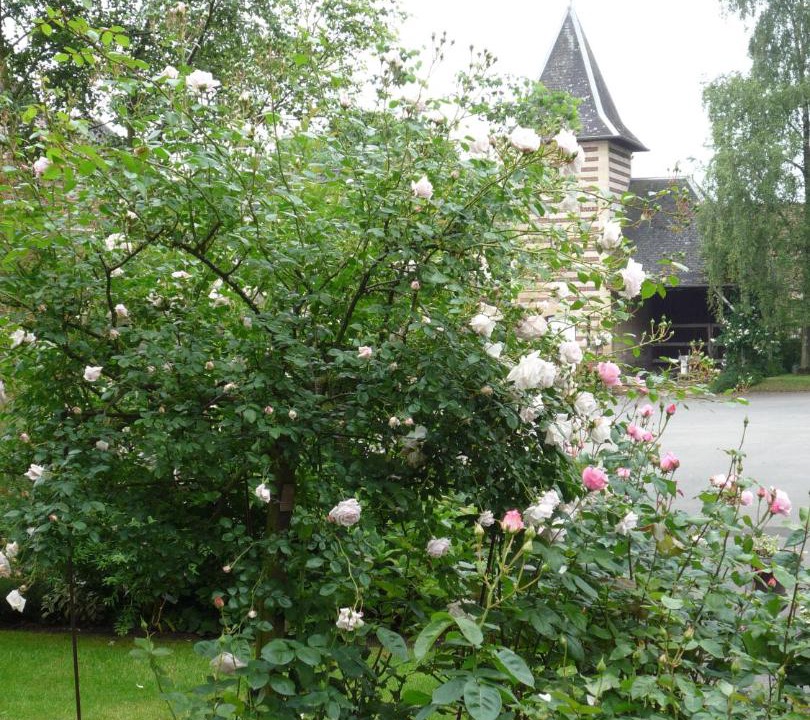 Photo of Others in Ribecourt-la-Tour