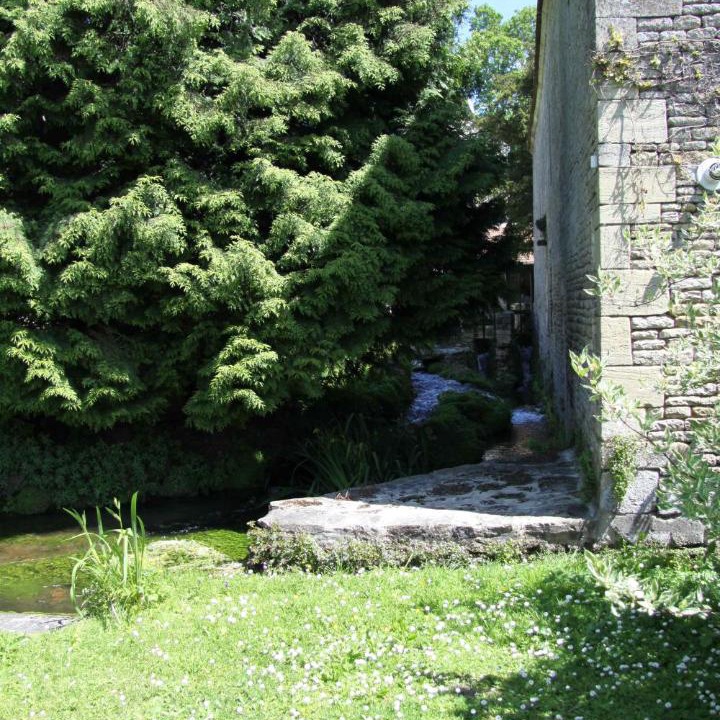 Photo of Others in Amblie