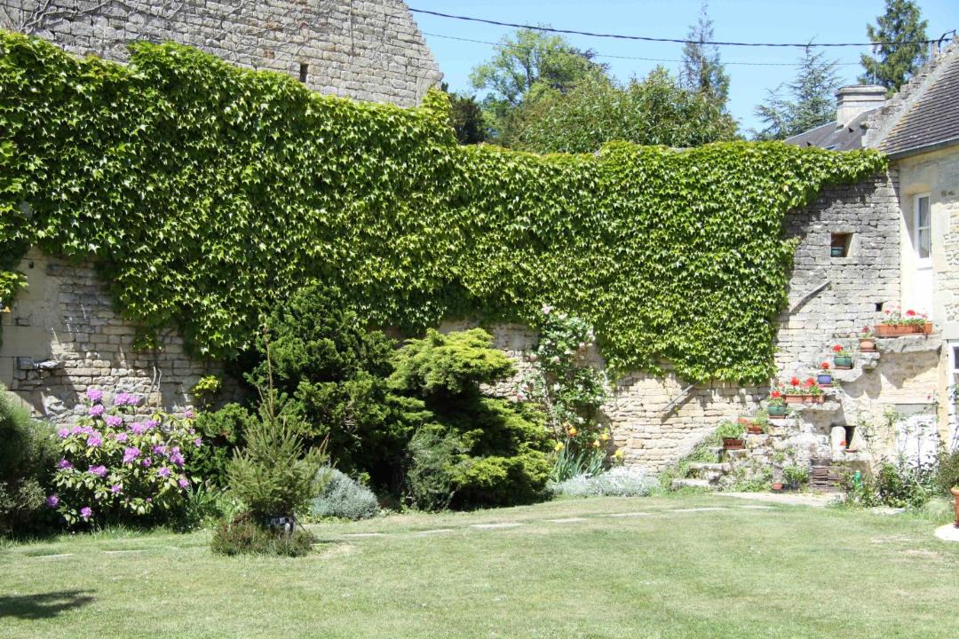 Photo of Others in Amblie