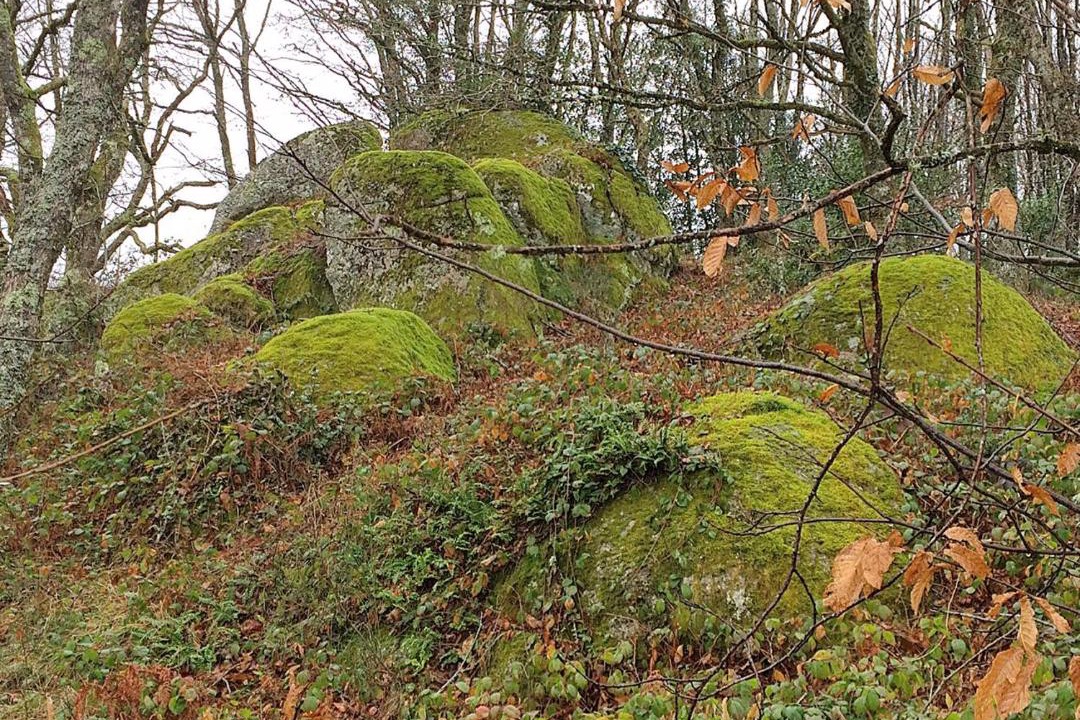 Photo of Others in Labastide-Rouairoux