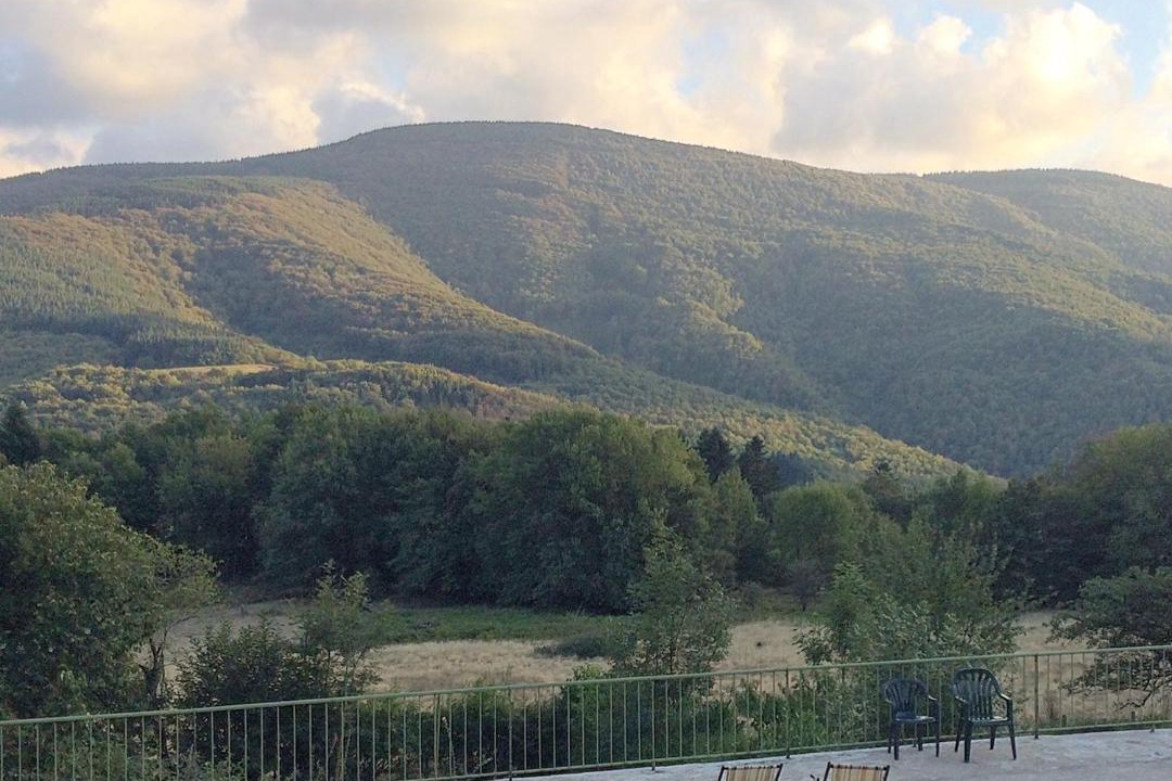 Photo of Others in Labastide-Rouairoux