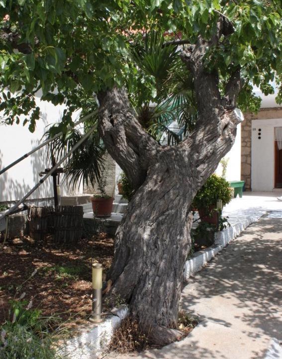 Photo of Buildings in Kali