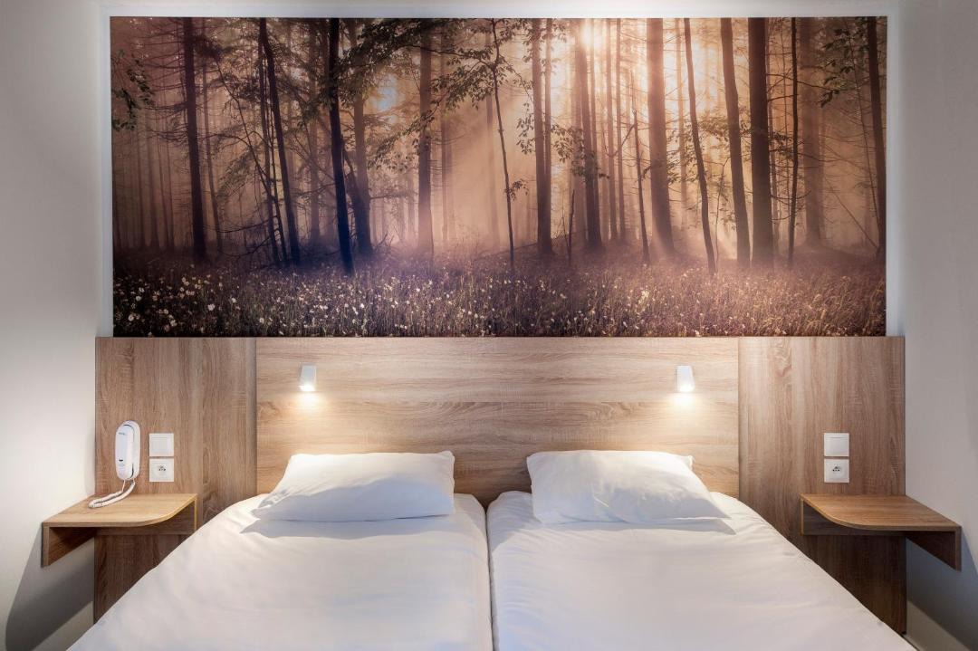 Photo of Bedroom in Annemasse