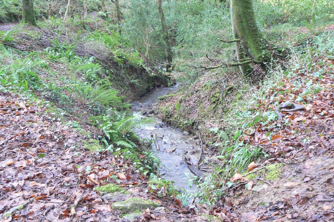 Photo of Outdoor in Westleigh