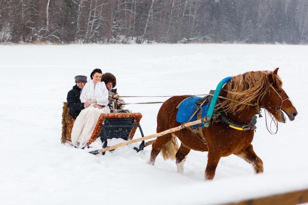 Photo of Human In Picture in Guzyatinskoe
