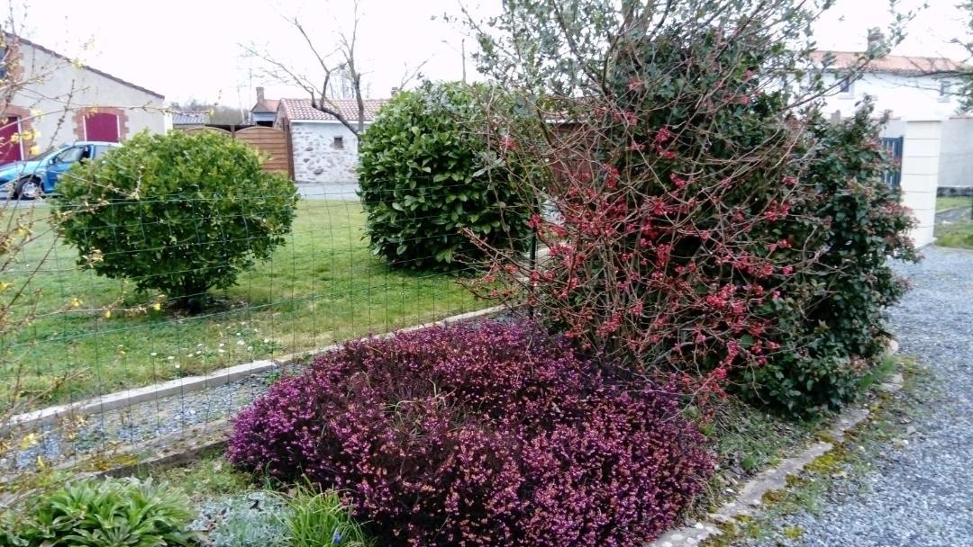 Photo of Others in La Guyonniere