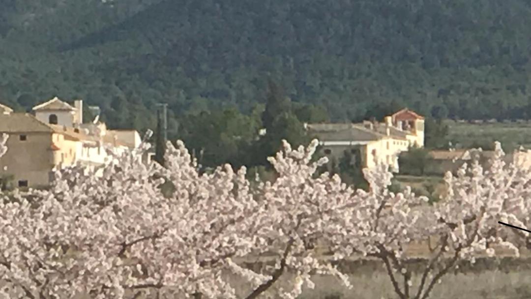 Photo of Others in La Bermeja