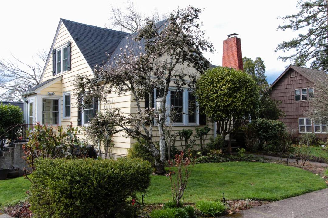 Photo of Others in Amazon