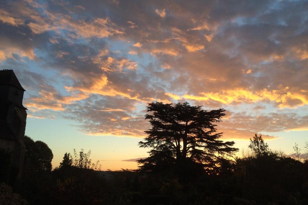 Photo of Others in Orchaise