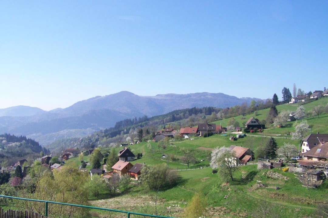 Photo of Others in Geishouse