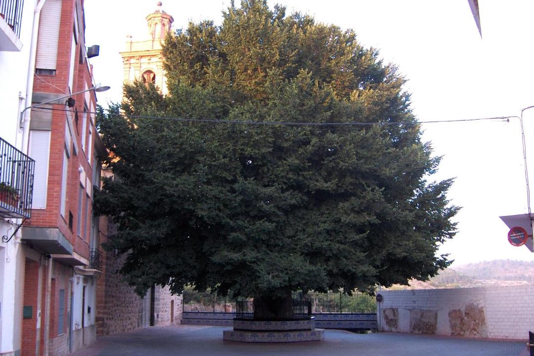 Photo of Others in Castellnovo