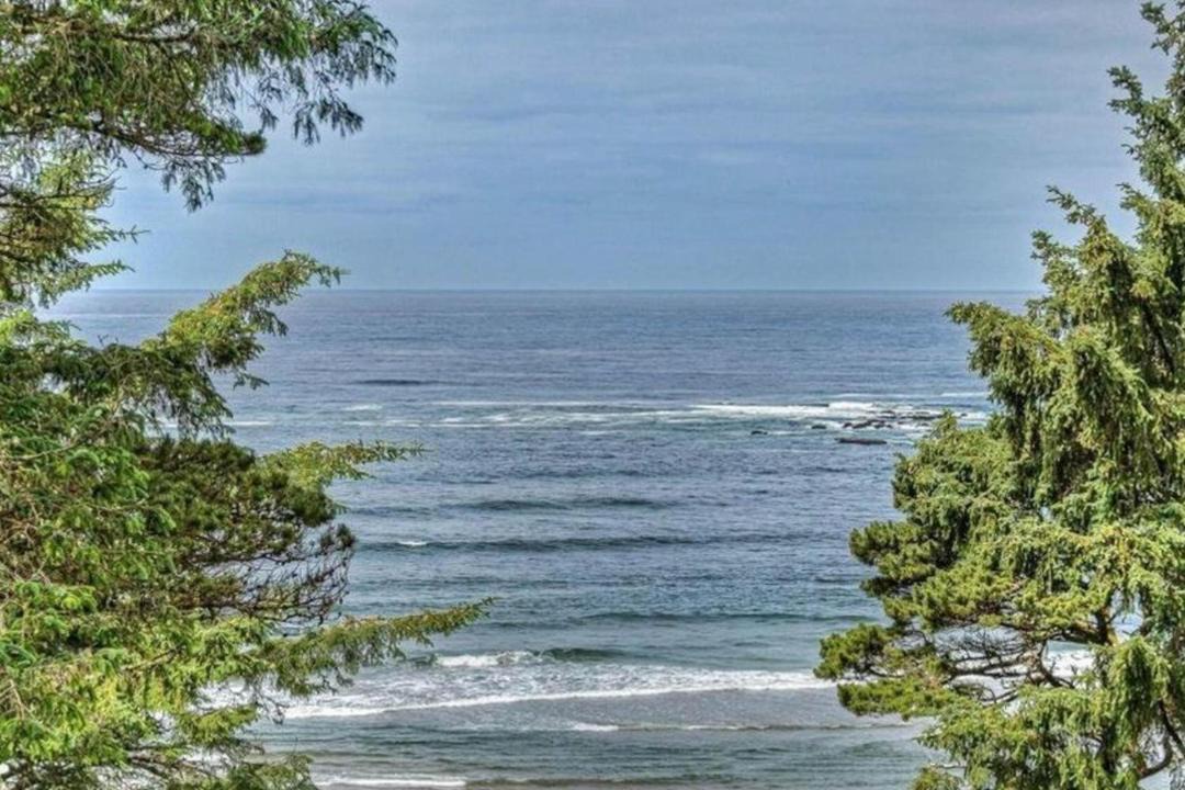 Photo of Outdoor in Otter Rock