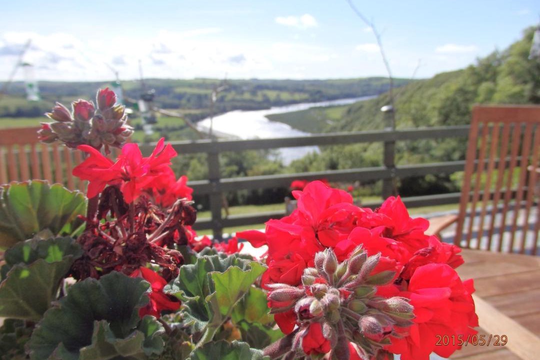 Photo of Patio Balcony in Westleigh