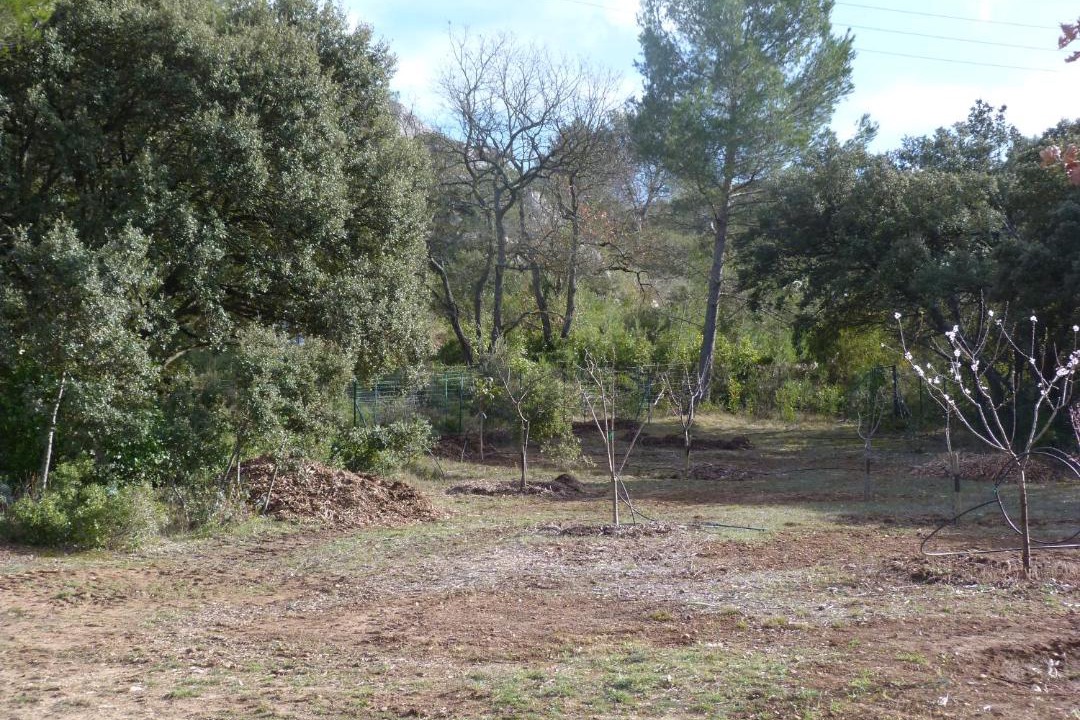 Photo of Others in Alleins