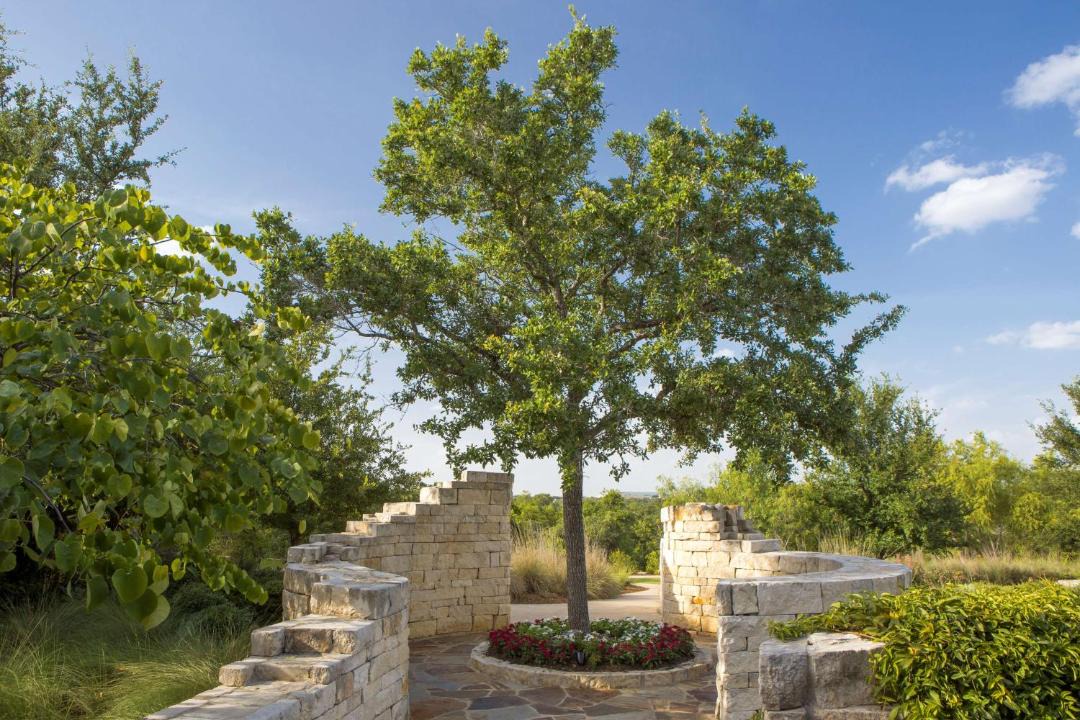 Photo of Others in West San Antonio