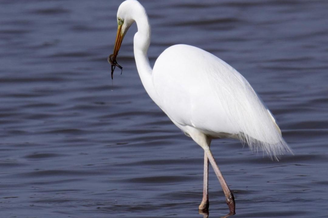Photo of Others in Belval-en-Argonne