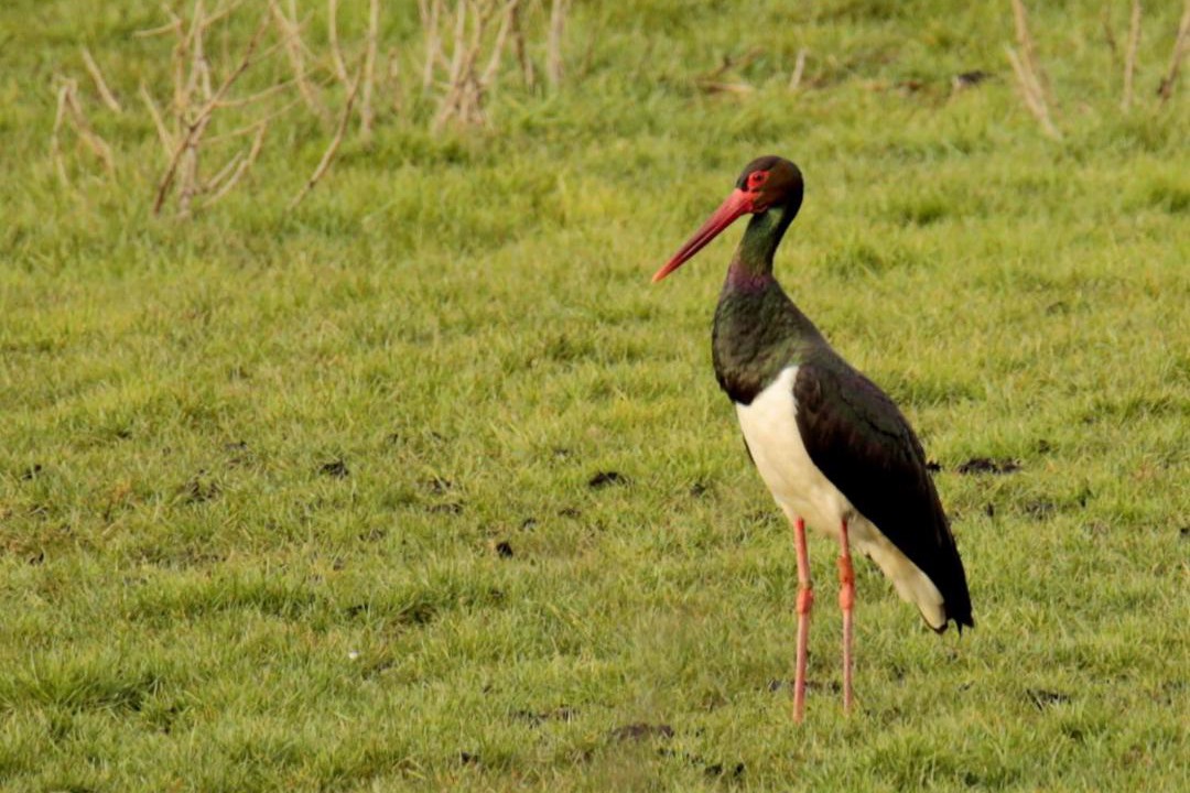 Photo of Others in Belval-en-Argonne