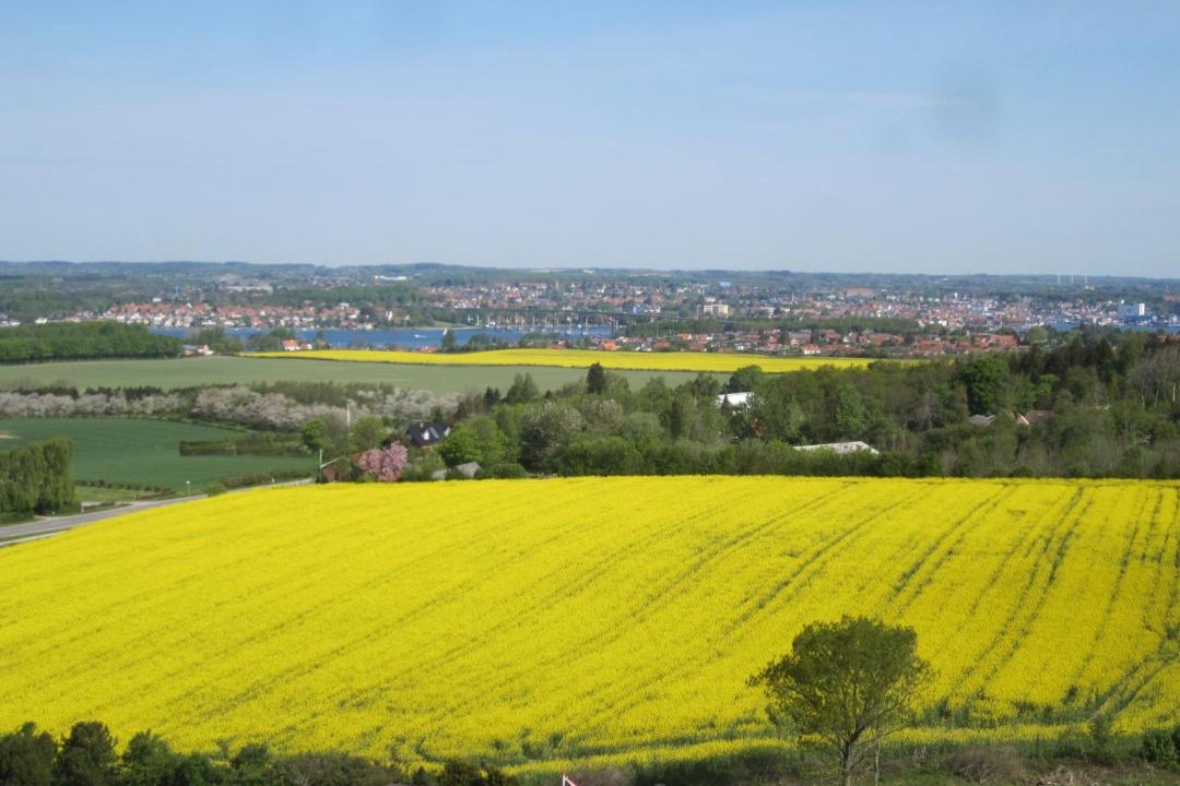 Photo of Outdoor in Svendborg